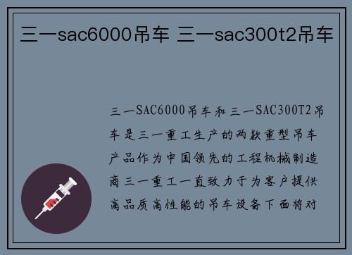 三一sac6000吊车 三一sac300t2吊车