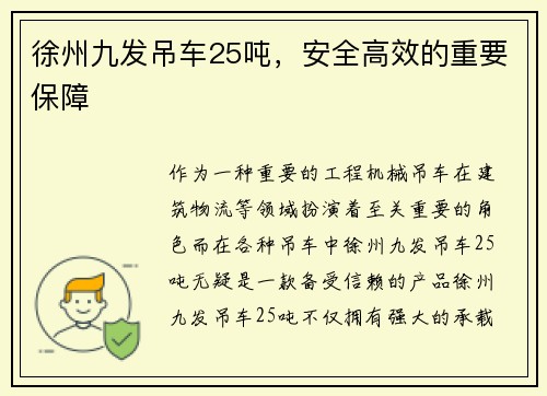 徐州九发吊车25吨，安全高效的重要保障