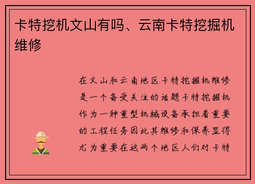 卡特挖机文山有吗、云南卡特挖掘机维修