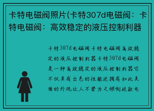卡特电磁阀照片(卡特307d电磁阀：卡特电磁阀：高效稳定的液压控制利器)